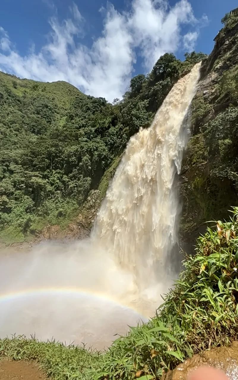 Salto del buey: lleva tu día al extremo